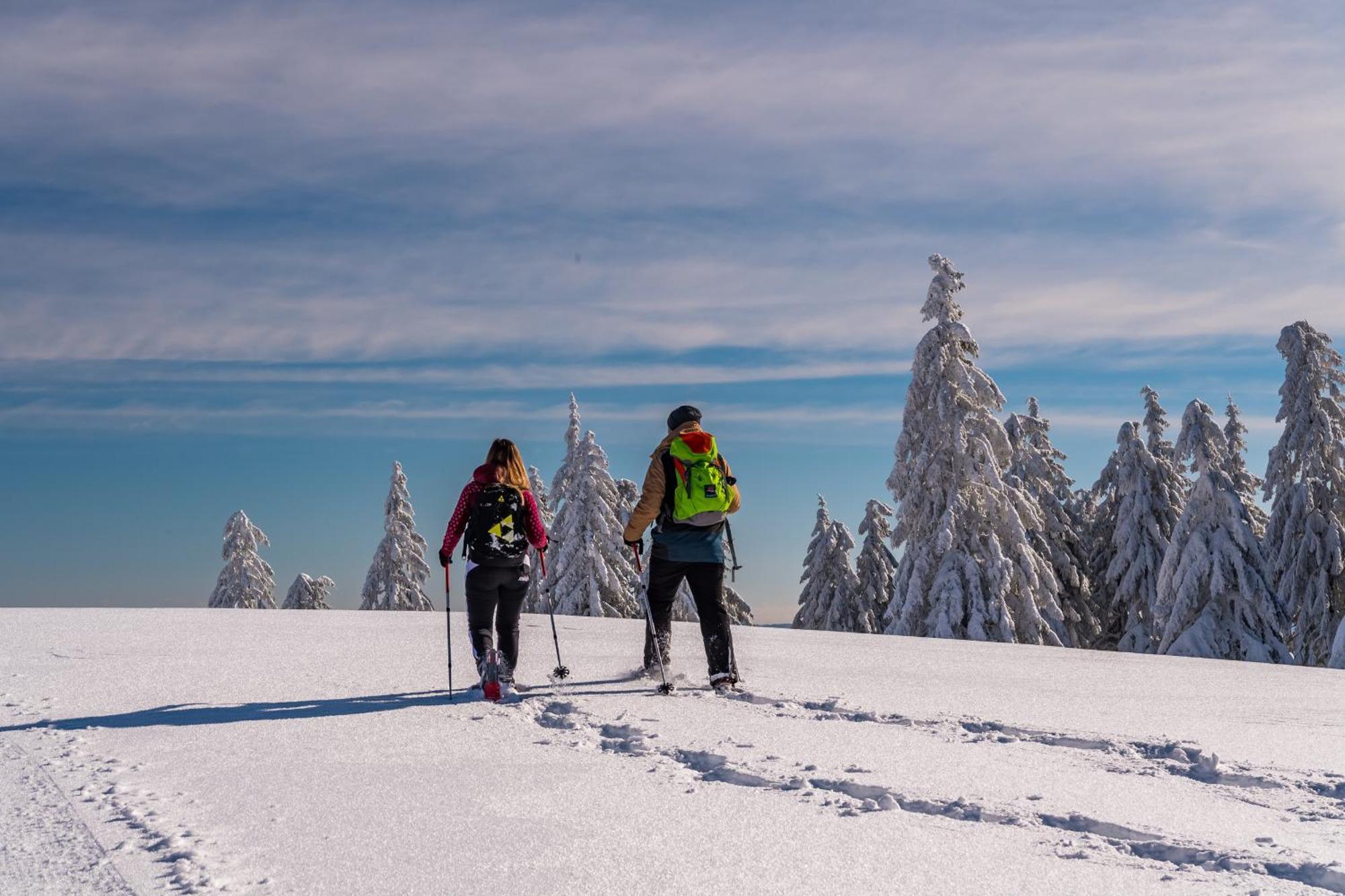 Schwarzwaldhorst Fewo 2 - Mit 4 Schlafzimmer - Todtnau, Liftverbund Feldberg Exterior foto